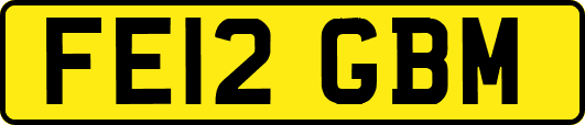 FE12GBM