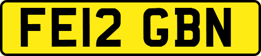FE12GBN