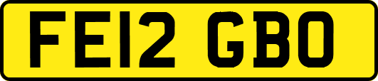 FE12GBO