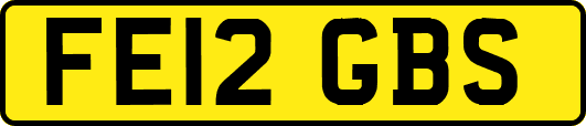 FE12GBS