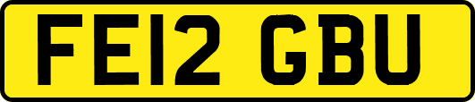 FE12GBU
