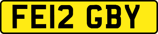 FE12GBY