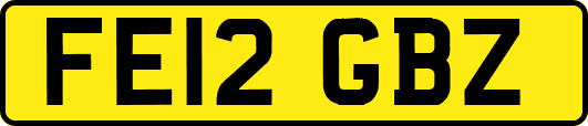 FE12GBZ