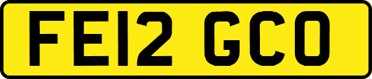 FE12GCO