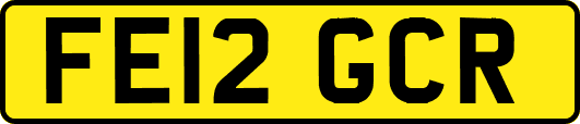 FE12GCR