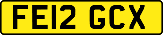 FE12GCX
