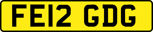 FE12GDG