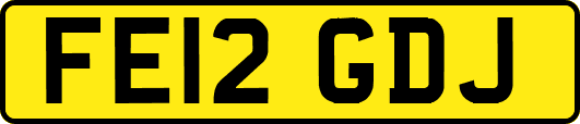 FE12GDJ