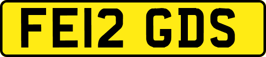 FE12GDS