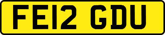 FE12GDU