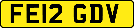 FE12GDV