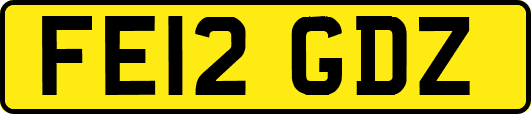 FE12GDZ
