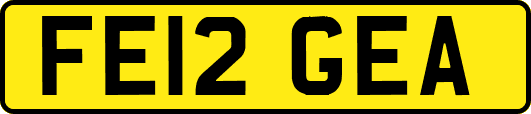 FE12GEA
