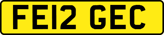 FE12GEC