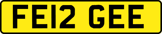 FE12GEE