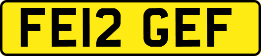 FE12GEF
