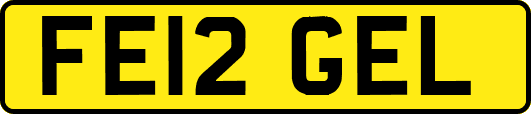 FE12GEL