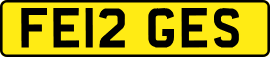 FE12GES