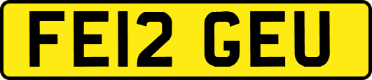 FE12GEU