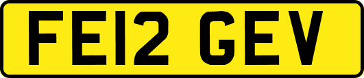 FE12GEV