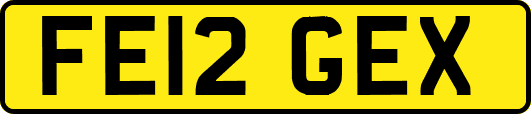FE12GEX