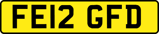 FE12GFD