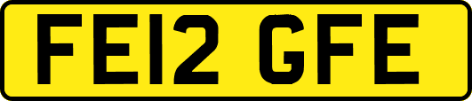 FE12GFE