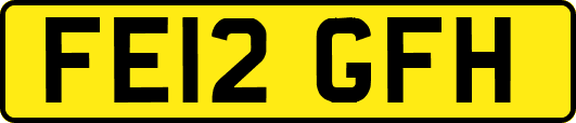 FE12GFH