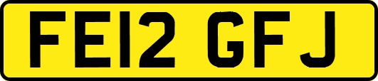 FE12GFJ