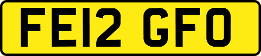 FE12GFO