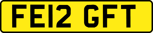 FE12GFT