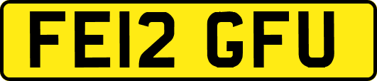 FE12GFU