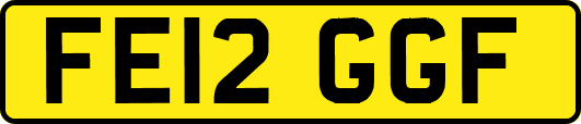 FE12GGF