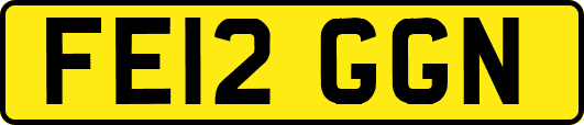 FE12GGN