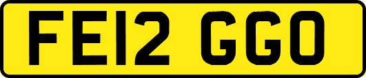 FE12GGO