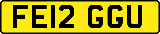 FE12GGU