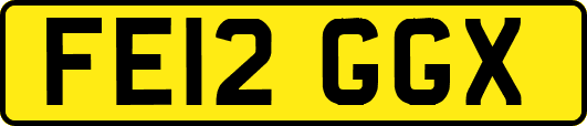 FE12GGX