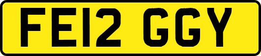 FE12GGY