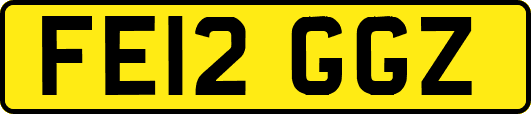 FE12GGZ