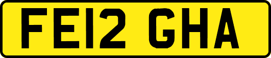 FE12GHA
