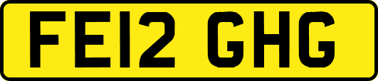 FE12GHG