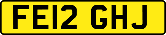 FE12GHJ