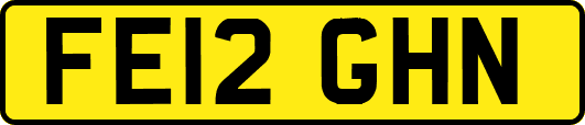 FE12GHN