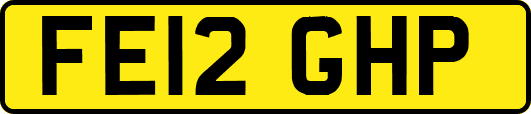 FE12GHP