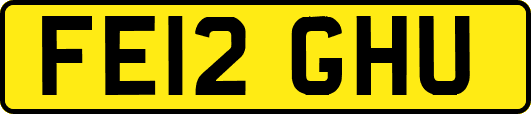 FE12GHU
