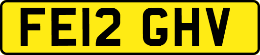FE12GHV