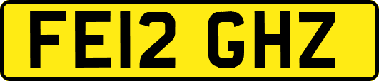 FE12GHZ
