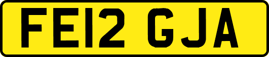 FE12GJA