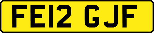 FE12GJF