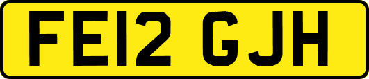 FE12GJH